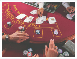 Der Blackjack Tisch und das verwendete Kartendeck