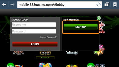 Springbok casino coupons